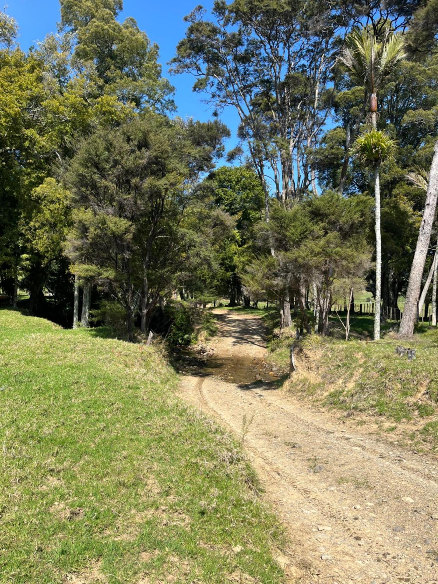 White Star Station Farm Holiday Park Coromandel Екстер'єр фото