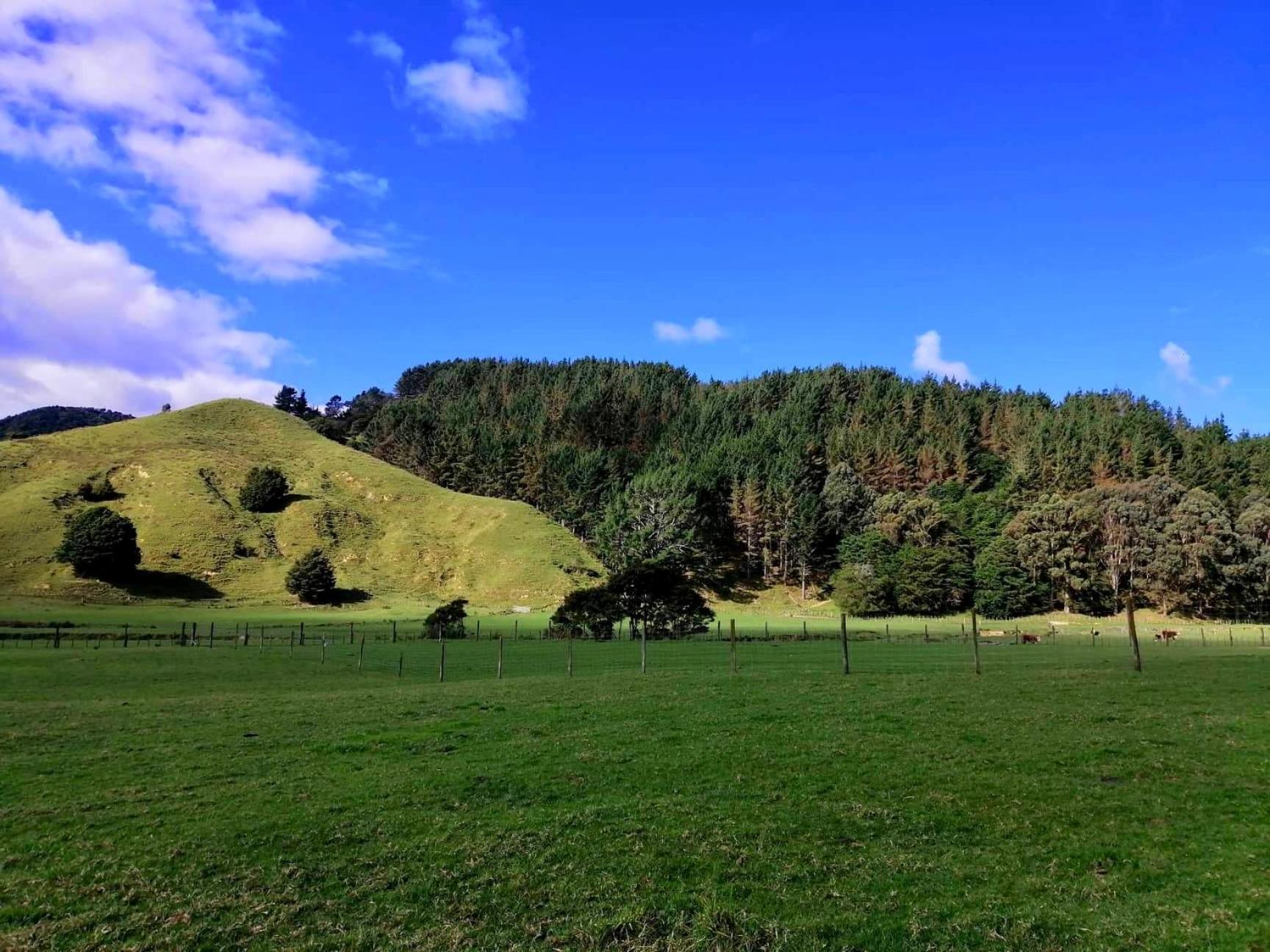 White Star Station Farm Holiday Park Coromandel Екстер'єр фото
