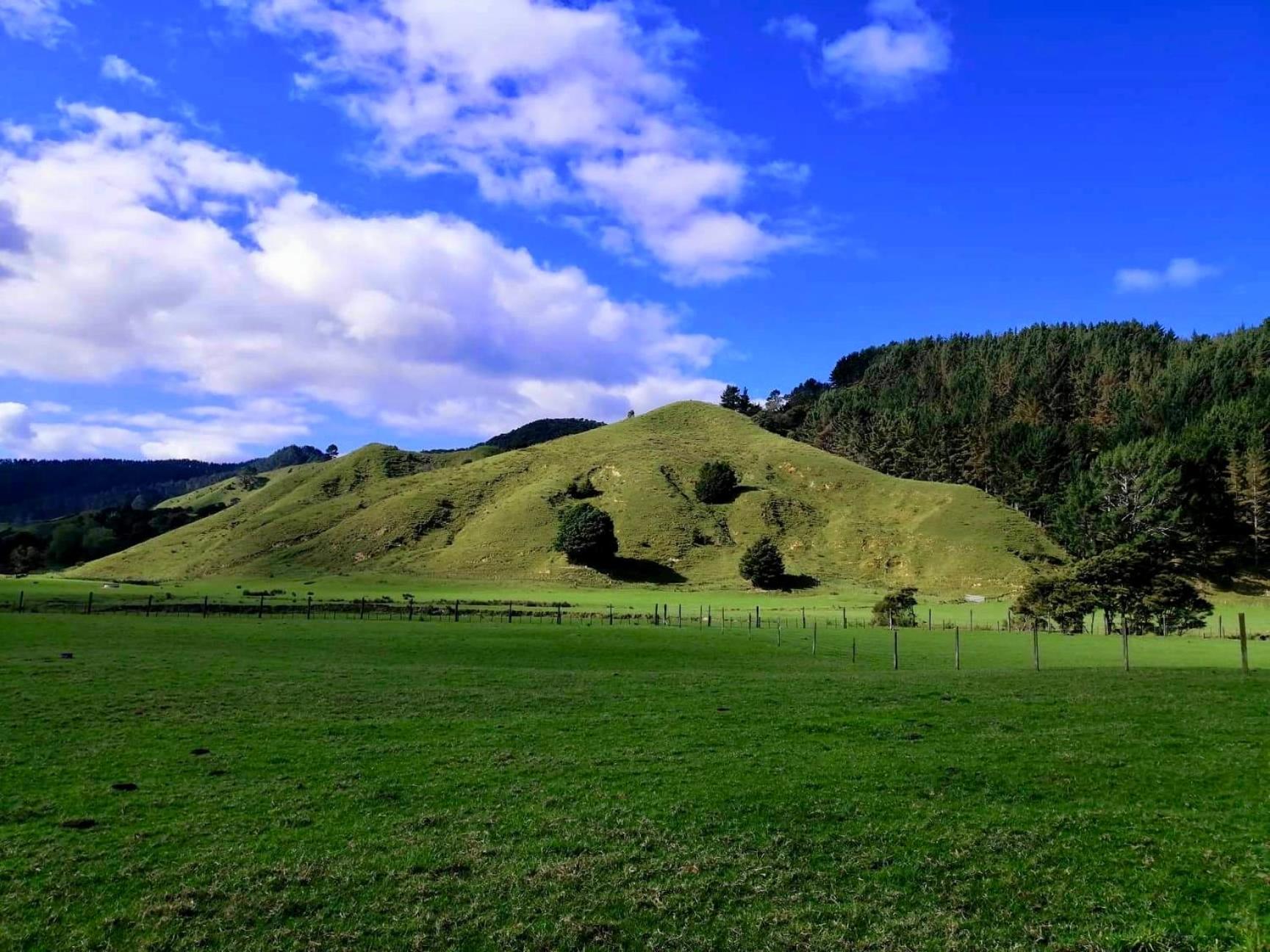 White Star Station Farm Holiday Park Coromandel Екстер'єр фото